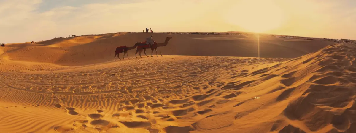 Rajasthan Rural Village and Local Culture Tour