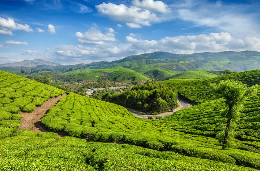 South India Wildlife and Nature